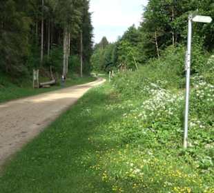 Phäno-Pfad Aichstetten