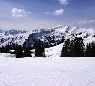 Ausblick am UGA