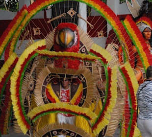 Boi Bumba Festival Sonderveranstaltung