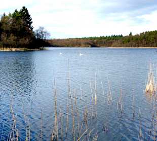 Uferpromenade Krakow am See