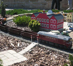 Güterzug mit Kamera