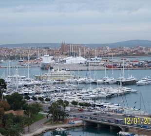 Blick zur Kathedrale