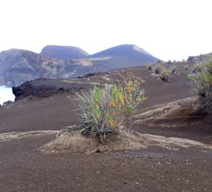 Inselrundfahrt Faial