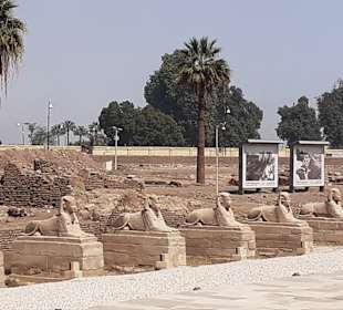 Luxor Tempel
