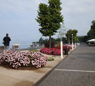 Bardolino