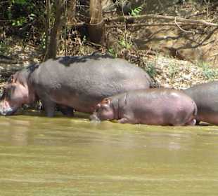 Unmittelbare Nachbarn