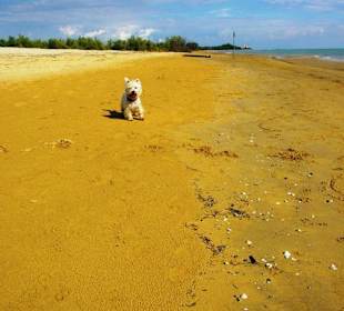 Ende September 2010 Inspirationen