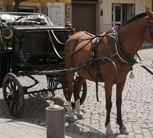 Altstadt von Jerez