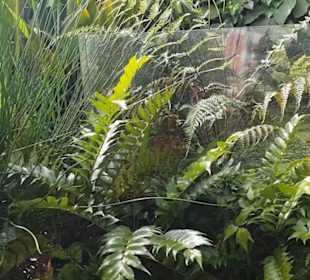 Botanischer Garten