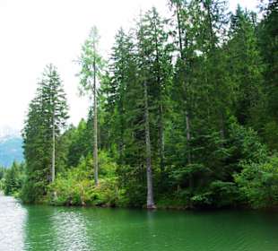 Rechtes Ufer Grünsee