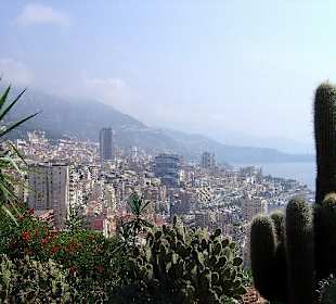 Botanischer Garten von Monaco