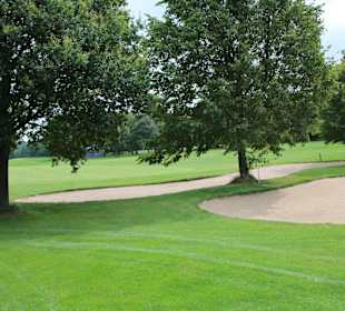 Von Bäumen begrenzt