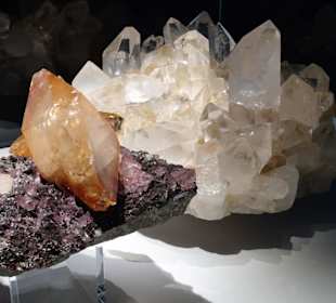 In der geologischen Abteilung