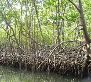 Nationalpark Los Haitises