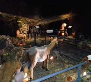Museo Guanche in Icod de los Vinos