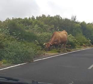 Hochebene Paul da Serra