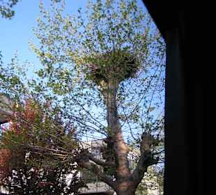 Strassburg oder Strasbourg: ein riesen Hit.