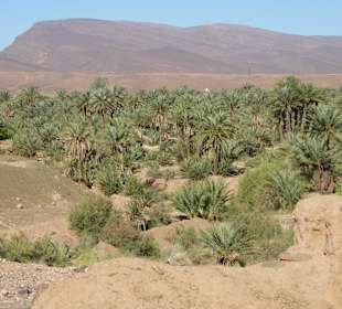 Und immer wieder mal Grün