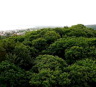 Ausblick