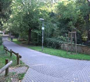 Alter Botanischer Garten