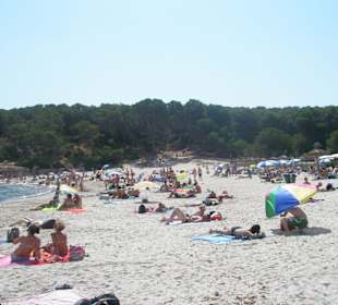 Cala
