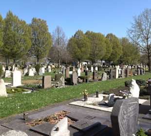 Neuer Friedhof