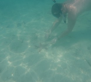 Tauchen vorm Hotelstrand 