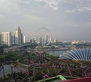 View from Supertree by Indochine - Singapore