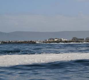 Gansbaai, whale watching