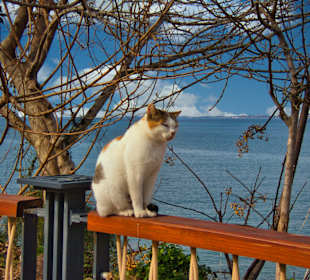 Strandpromenade Side