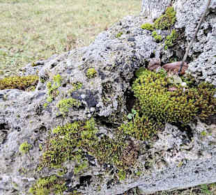 Der Zahn der Zeit nagt ...
