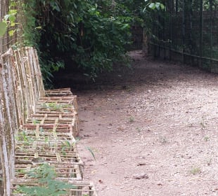 Hier gibt es den Sekt