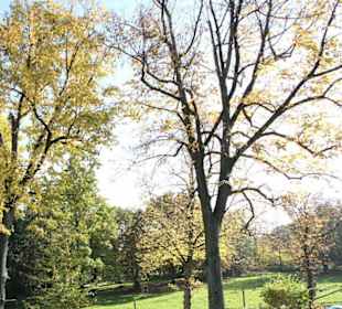Blick in den Tierpark Wildgatter
