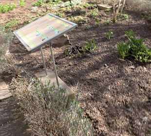 Apothekergarten Ettlingen