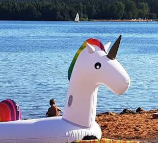 August mit Einhorn