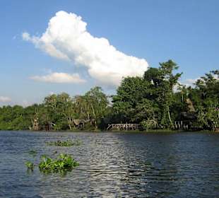 Orinoco-Delta