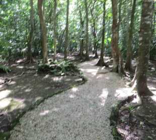 Ausflug mit Daniel zu den Maya Ruinen in Muyil