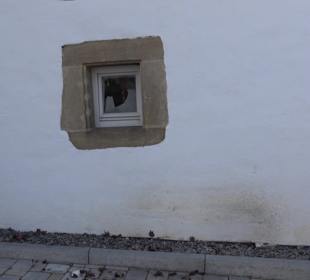 Kasperles Haus Walddorf