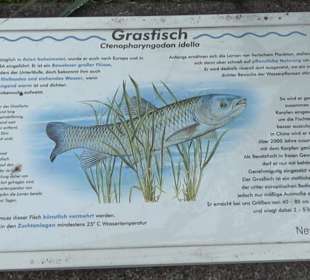 Fischlehrpfad Neu-Ulm