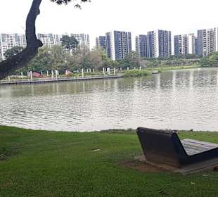 Jurong Lake und Gärten