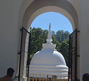 Kandy tempel