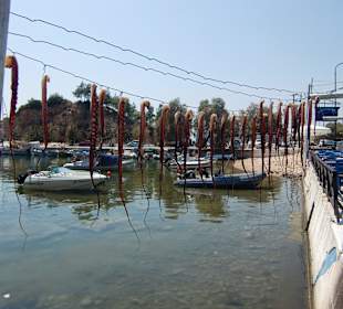 Hafen