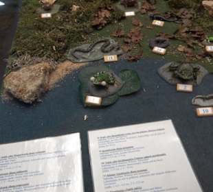 Natur- und Jagdmuseum