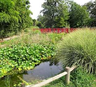 Am Teich im Jardin des Plantes