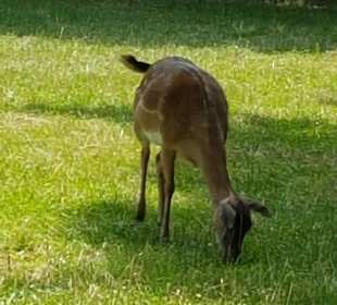 Stadtrundgang Tussenhausen