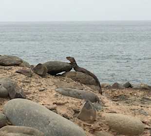 Strandpromenade Meloneras