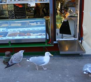 Strand Dranske auf Rügen
