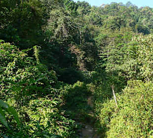 Khao Sok Nationalpark