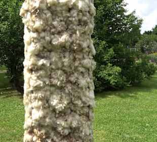 Blühendes Neresheim 2021