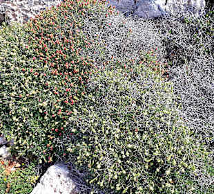 Nationalpark Kap Greco